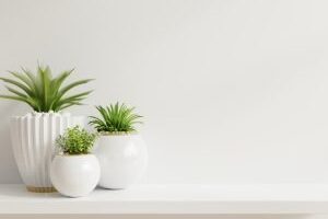 imgi_33_asset-27-300x208 imgi_33_asset-27-300x208