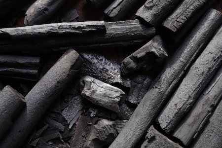 Shell Charcoal is obtained by burning the shell of fully matured coconuts with a limited supply of air
